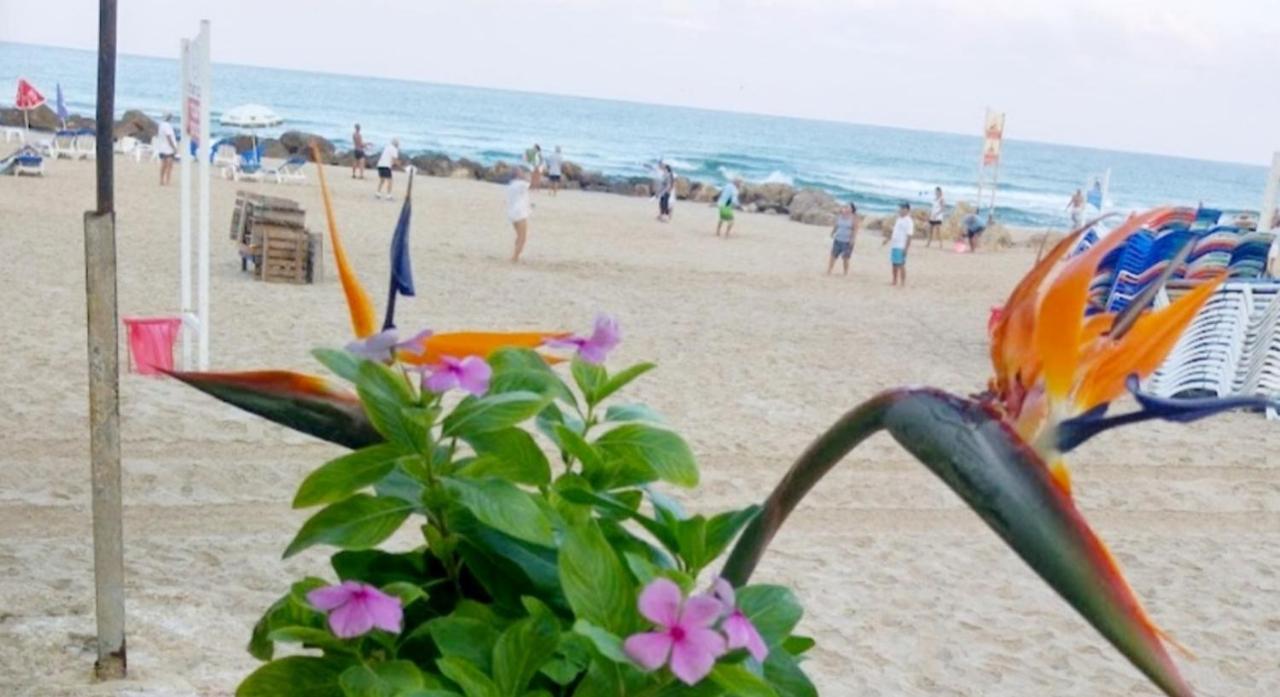 612 Apartment On The Beach Bat Yam Exterior foto
